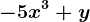 -5x^3+y