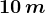 10\, m