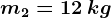m2=12\: kg