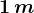 1 \, m