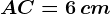 AC=6\, cm