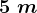 5 \; m