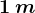 1\: m