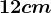 12cm