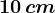 10\, cm