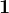 \dpi100 1