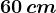 60\, cm