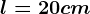 l=20cm