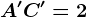 A'C'=2