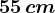 55\, cm