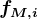 fM,i