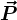 \vecP 