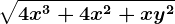 \sqrt4x^3+4x^2+xy^2