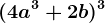 (4a^3+2b)^3