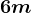 6 m