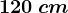 120\: cm