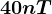 40nT