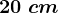 20\;cm