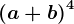 \left ( a+b \right )^4