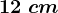 12\;cm