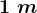1\;m