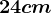 24cm