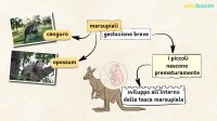 Payanev - test - Crunz - sitemap